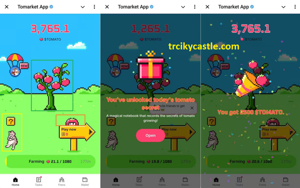 Tomarket Secret Daily Combo Today – October 24, 2024