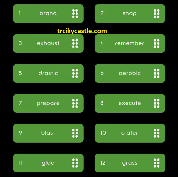 HoldCoin Daily Combo for December 31, 2024